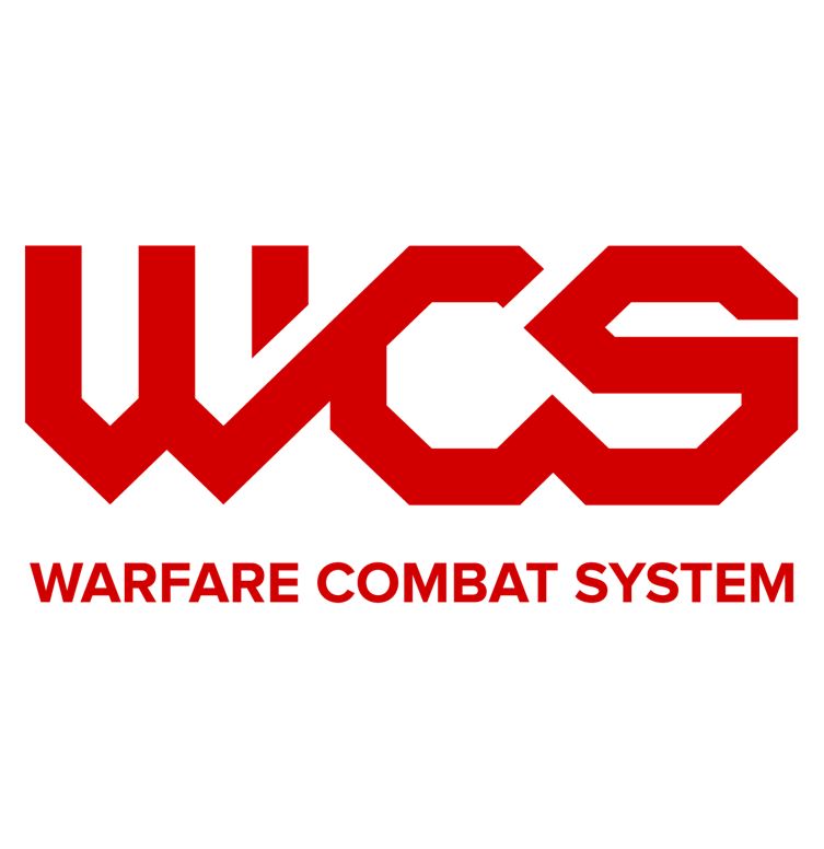 Warfare Combat System
